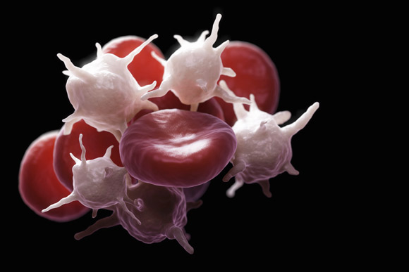 platelet rich plasma las vegas